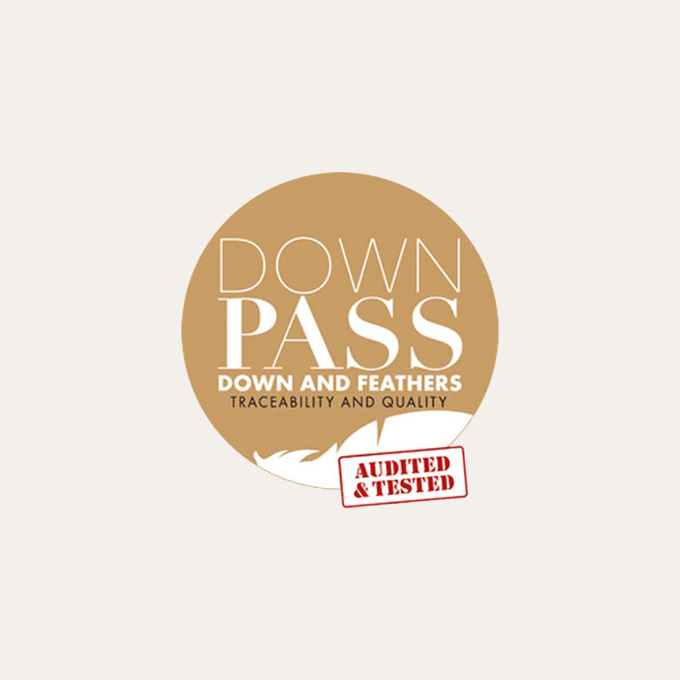 DOWNPASS