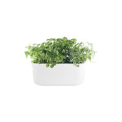 Nordic Kitchen self-watering herb holder, white, Eva Solo