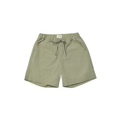 Wilder Shorts, turtle, Lalaby