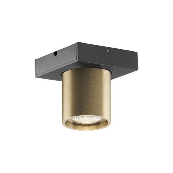 FOCUS 1 Ceiling Spotlight, brass, LIGHT-POINT