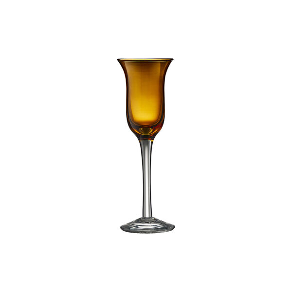 Schnapps Glass 6 pcs, Lyngby Glas