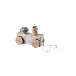 Woodland Pop-up Pull-along Toy, Sebra