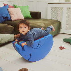 Chicken, blue gym, bObles