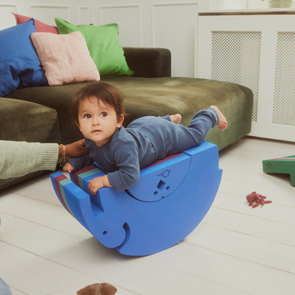 Chicken, blue gym, bObles