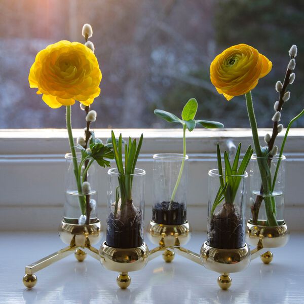 Constella Glass Inserts, Klong