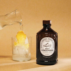 Organic Syrup - Ginger, Bacanha
