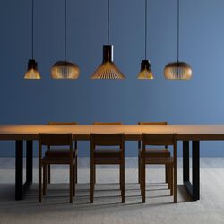 Petite 4600 Pendant, black, Secto Design