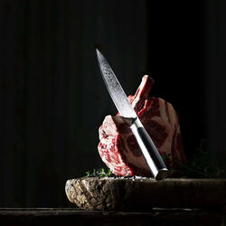 Carving Knife, Gastrotools