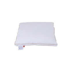 The Swineherd Pillow, Ringsted Dun