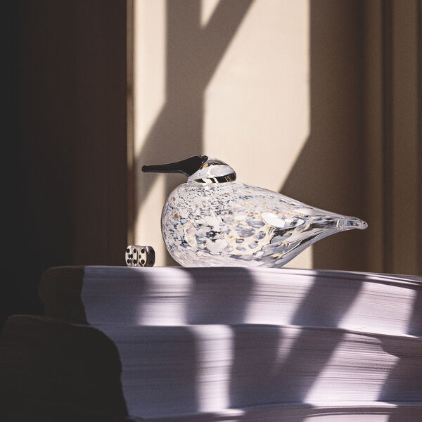 BBT Snow Finch, Iittala