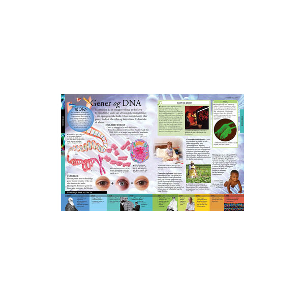 Det store børneleksikon Det store børneleksikon, Forlaget Globe