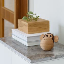 The Monkey Bowl, Spring Copenhagen