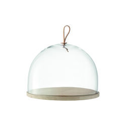 Ivalo Dome, LSA International