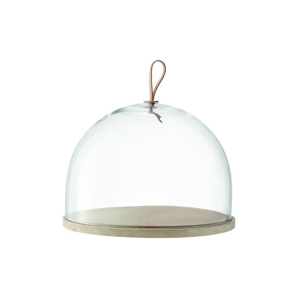 Ivalo Dome, LSA International