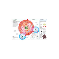 Familiens store bog om videnskab, Forlaget Globe