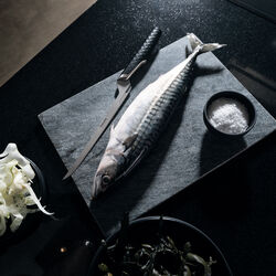 Taiten Filleting Knife, Fiskars