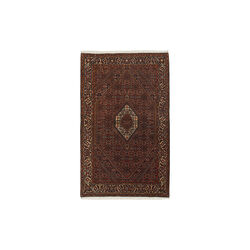 Bidjar Zandjan Rug, Rezas