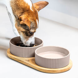 Kronborg Food Bar, caffe latte, DOG Copenhagen