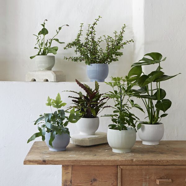 Knabstrup flowerpot grooves Knabstrup flowerpot grooves, Knabstrup Keramik