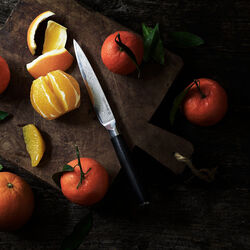 Utility Knife, Gastrotools