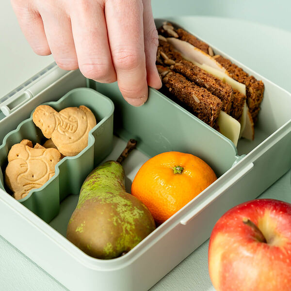 Playground Lunch Box with Divider, green, Done by Deer