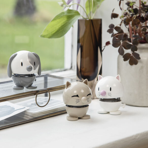 Cat, white, Hoptimist