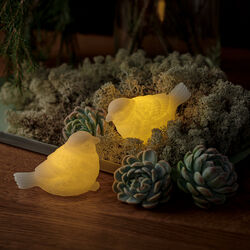 Erica Sparrow, clear/white, Sirius Home