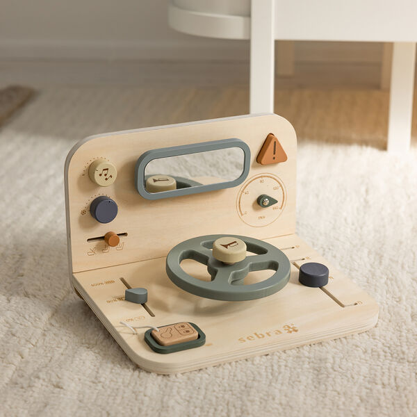 Car Activity Panel Car Activity Panel, Sebra