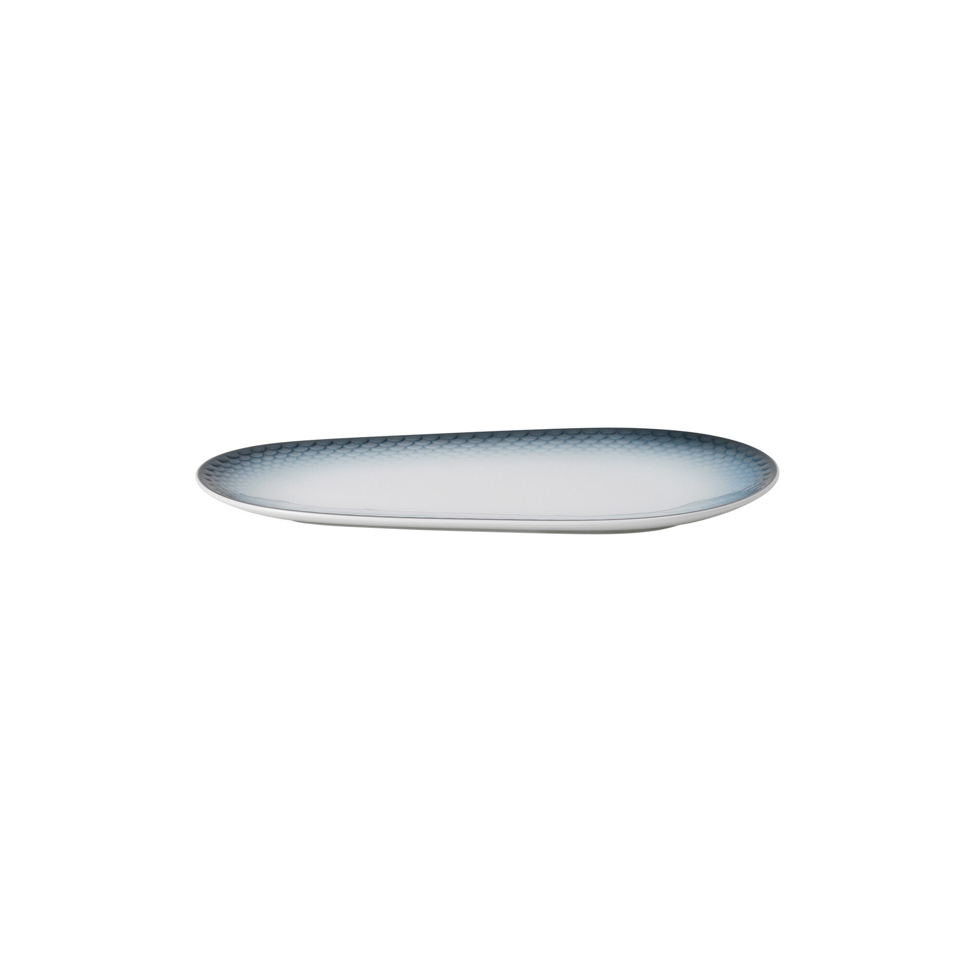 数量は多 HAV Dish 28 cm ミュージック