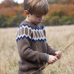 Llama Raglan | Brown | Sweater, Serendipity