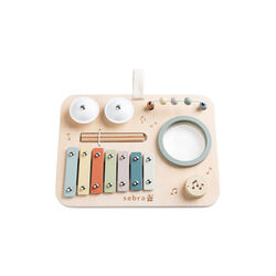 Music Activity Panel, Sebra