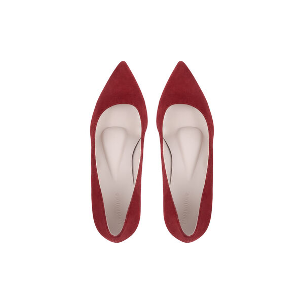 Camilla, cherry, Roccamore