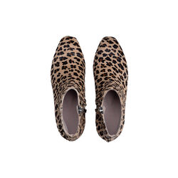 Sigrun, leo, Roccamore