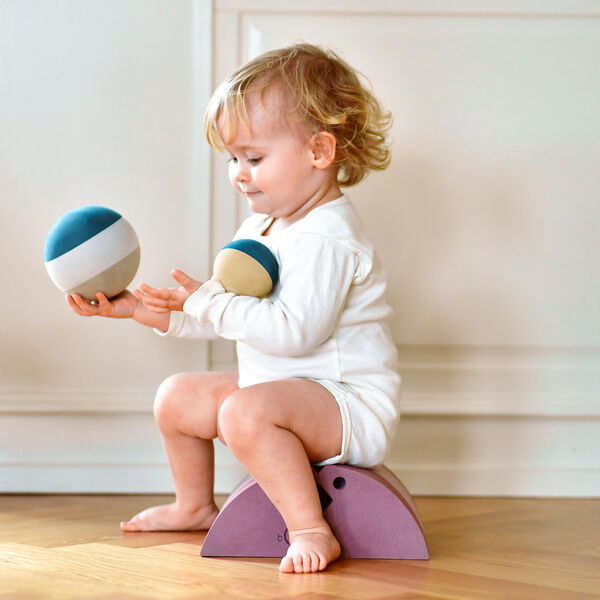 Chicken, vintage rose, bObles