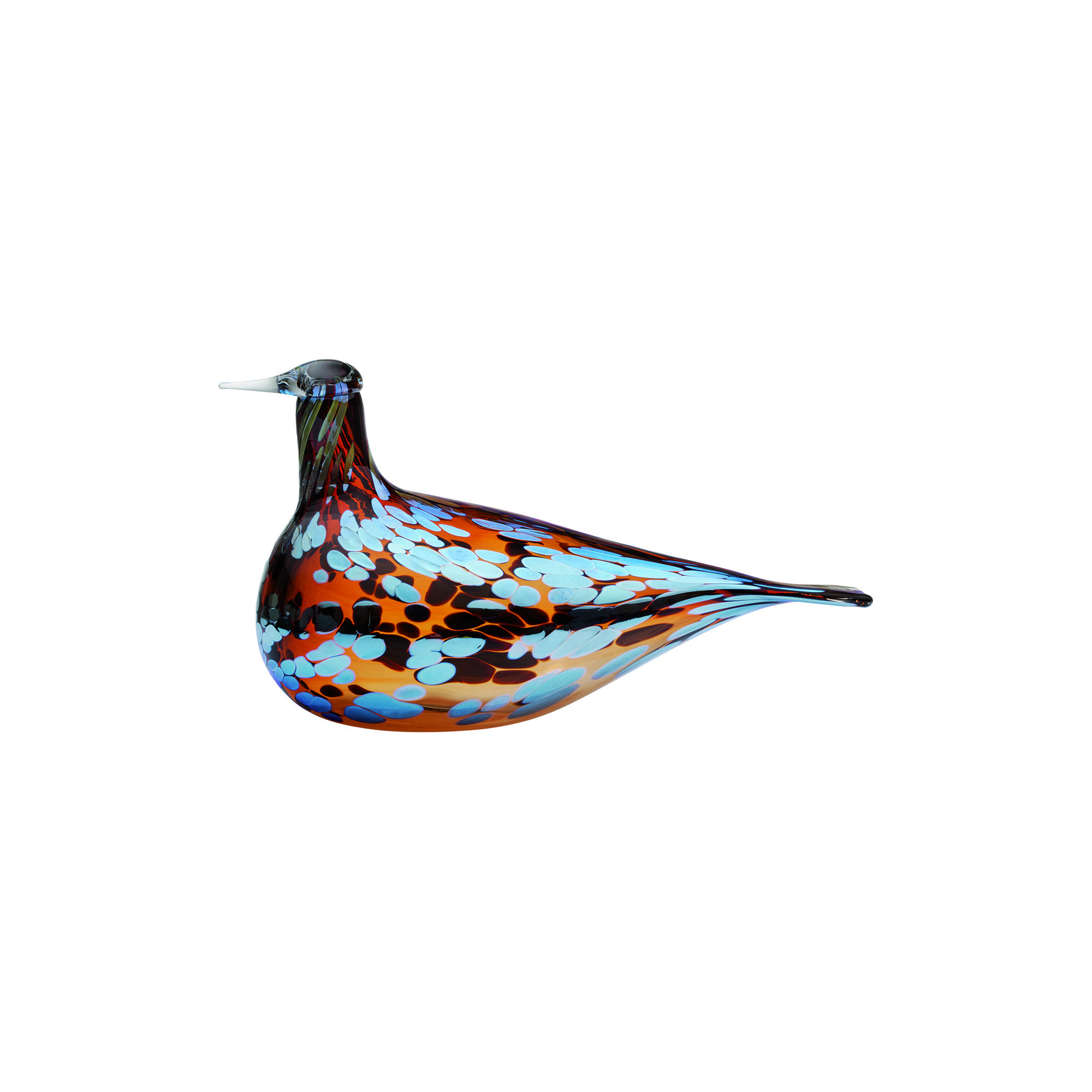 6411920022425.jpg?sw=1500&sh=