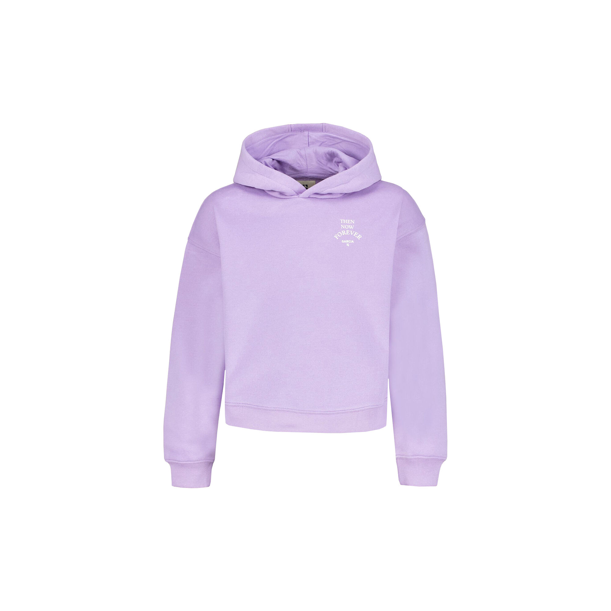 Champion store daisy hoodie
