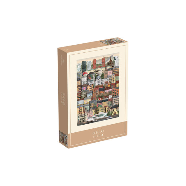 Oslo Puzzle, Martin Schwartz
