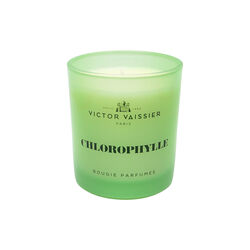 Scented Candle Chlorophylle, Victor Vaissier