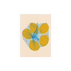 Five Lemons in a Net Bag, Poster & Frame