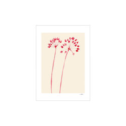 Flowers 02, Poster & Frame