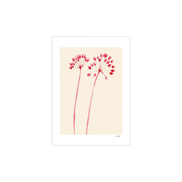 Flowers 02, Poster & Frame