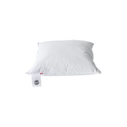85th Anniversary Pillow, Ringsted Dun