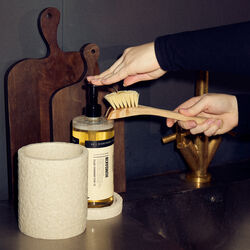 01 Dish Soap, Sage & Sea Buckthorn, Humdakin