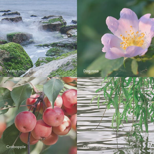 ØY Wash Refill, Skandinavisk