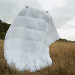 Autumn Duvet, Fossflakes