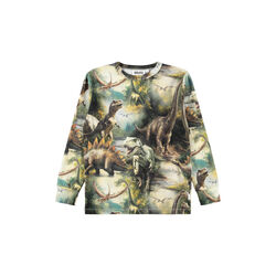 Rill T-shirt, dino harmony, Molo