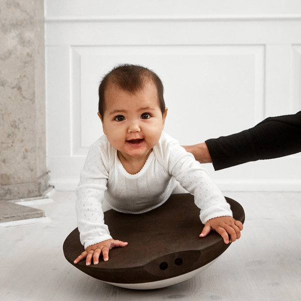 Turtle, sand grey, bObles