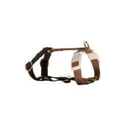 Soft & adjustable dog harness, chocolate, Drew's Dogwear