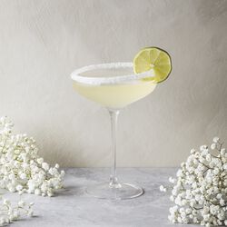 Champagne Coupe Glass, Eva Solo