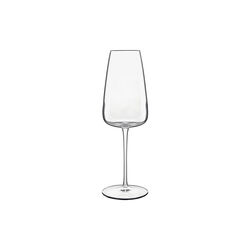 Talismano Champagne Glass 2 pcs, Luigi Bormioli